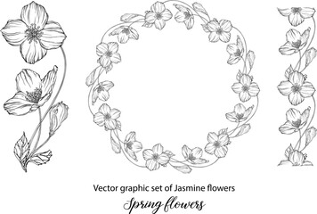 A set of graphic flower compositions with Jasmine flowers. Jasmine. wedding, scrapbooking