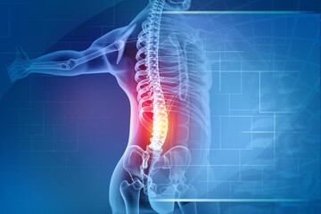Fototapeta pain in the spine, pain in the back, highlighted in red, x-ray view. 3d illustration obraz