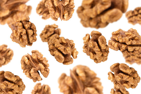 Levitation of walnut kernels isolated on transparent background.