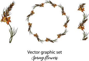 Vector flowers, buds. Botanical illustration. Spring flowers