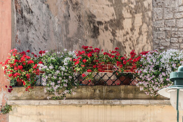 The wall of an apartment house and many flowers on a small terrace.