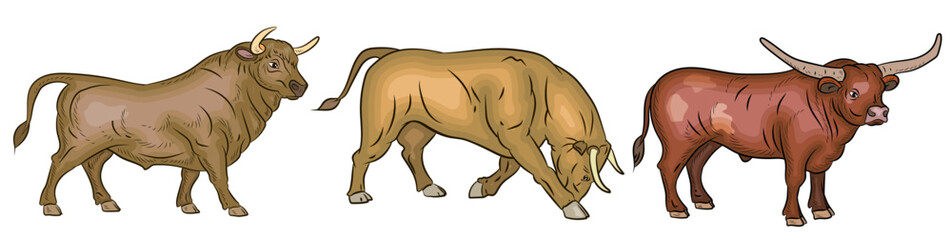 Large wild animal buffalo, color image.
Vector drawing.