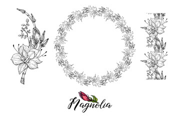 Set of vector flower arrangements with Magnolia flowers. Delicate romantic graphic magnolias.