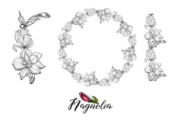 Set of vector flower arrangements with Magnolia flowers. Delicate romantic graphic magnolias.