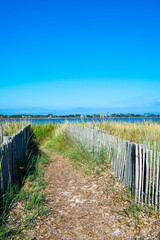 Obraz premium Dunes et ganivelles à l'Almanarre, Hyères les Palmiers, Var
