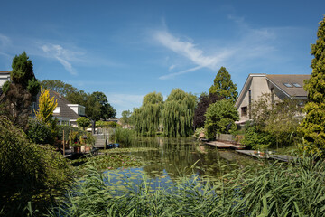 Obraz premium Suburban neighbourhood in Gouda Netherlands where back yards run into canal networks that bustle with nature and life. Lillies, trees, reed and bushes make this living area green and vibrant