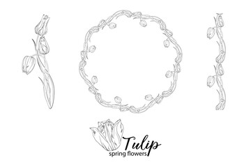 graphic floral arrangements with Tulip flowers. Spring flowers.