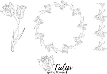 graphic floral arrangements with Tulip flowers. Spring flowers.