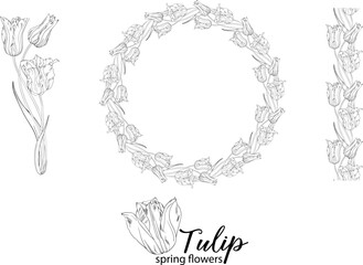 graphic floral arrangements with Tulip flowers. Spring flowers.