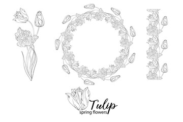 graphic floral arrangements with Tulip flowers. Spring flowers.