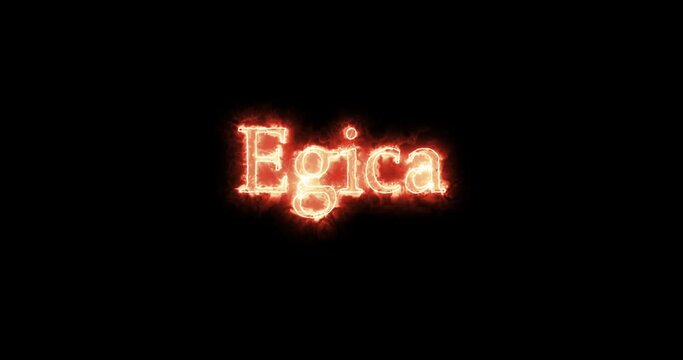Egica, king of the Visigoths, written with fire. Loop