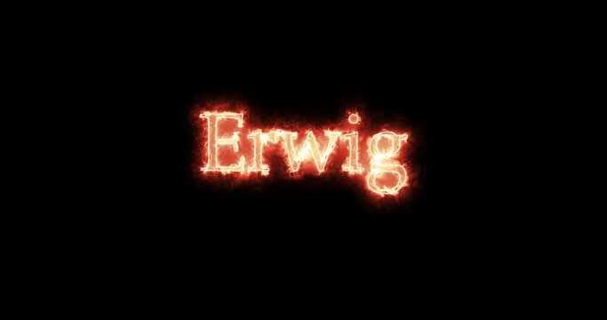 Erwig, king of the Visigoths, written with fire. Loop
