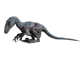 dinosaur velociraptor 3d render © david