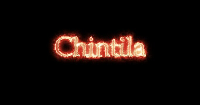 Chintila, king of the Visigoths, written with fire. Loop