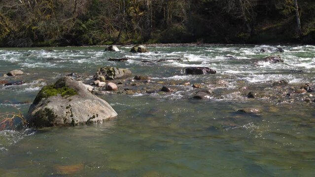 South Fork Snoqualmie River on Sunny Day