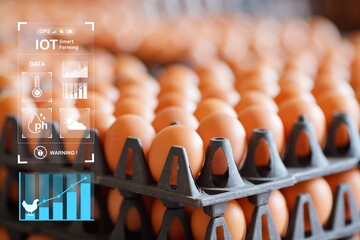 Eggs in the package with Smart agriculture farming AOT concept.