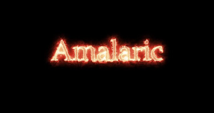 Amalaric, king of the Visigoths, written with fire. Loop