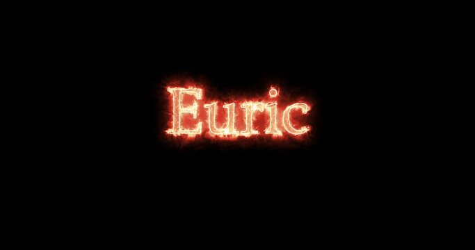 Euric, king of the Visigoths, written with fire. Loop