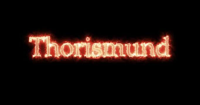 Thorismund, king of the Visigoths, written with fire. Loop