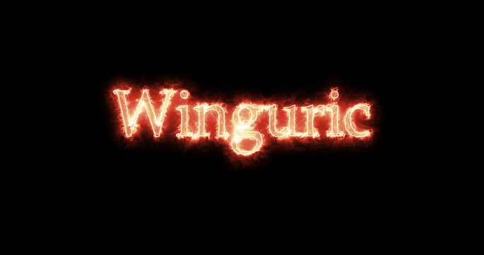 Winguric, Thervingian Gothic king, written with fire. Loop