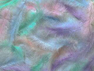 abstract textured background delicate multicolored beautiful feathers
