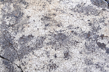 Gray and white concrete cracked wall background texture