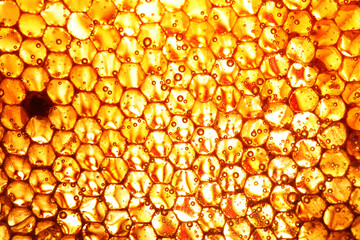 honeycomb propolis