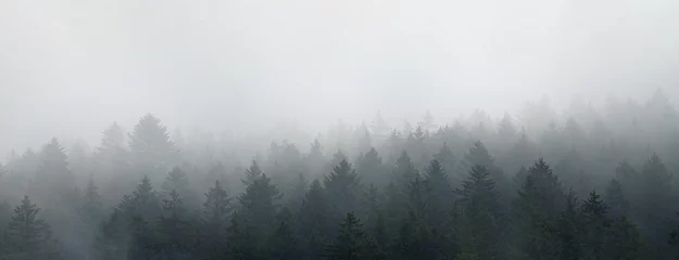 Fototapeten  Moody forest landscape with fog and mist . Big Panorama. © Igor
