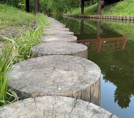 wooden bridge in the park