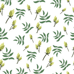 A pattern of white rose buds with green twigs on a white background. Delicate background for printing on paper and textiles. Print for packaging, postcards for Mother's Day, Valentine's Day, birthday