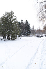 Fototapeta na wymiar Winter landscape in a snowy park on a cloudy day