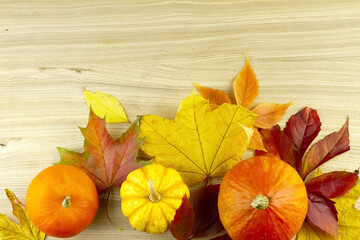 Harvest of autumn vegetables on a light wooden table. Autumn background with pumpkin leaves and copy space. High quality photo