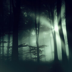 Sun rays through tree branches in dark, misty forest landscape. Generative AI.