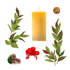 Set of green branches with leaves, red berry, candle