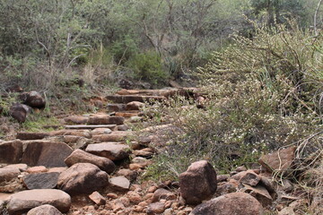 Rocky steps in nature. 