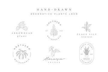 Miinimalist Hand Drawn Decorative Plant Logo