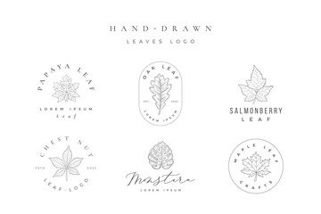 Minimalist Hand Drawn Leaves Logo