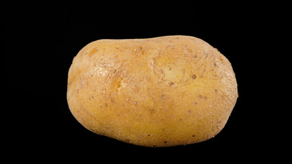 Fresh Yellow Organic Potato. Potato isolated on black background