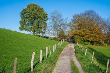 Fototapeta premium Wanderweg im Bergischem Land