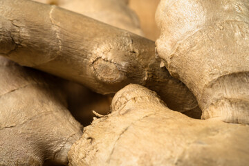 Whole ginger root. Extreme Close up of ginger