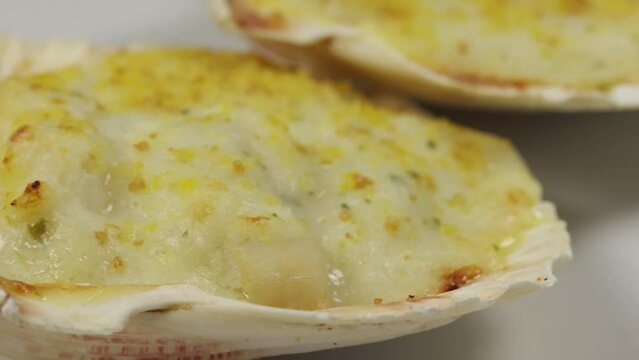 coquille saint Jacques dans une assiette blanche