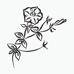Stylized petunia flower drawing calligraphy. Hand drawn line pattern. Black and white leaf tracery isolated on white background. Calligraphy image. tattoo design.