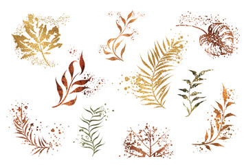 Minimalist style of hand drawn plants. Vector plants and grasses in gold style with gloss effects and and gold paint splatters. With leaves and organic shapes.