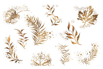 Minimalist style of hand drawn plants. Vector plants and grasses in gold style with gloss effects and and gold paint splatters. With leaves and organic shapes.