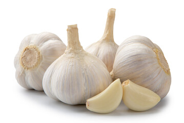 Fresh fragrant garlic isolated on white background. Spices and seasonings