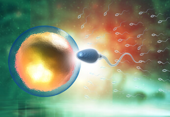 Sperm meets and egg. 3d illustration.