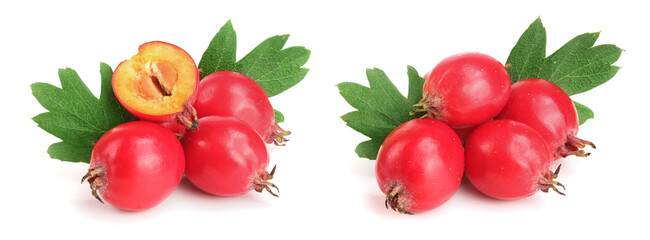 Hawthorn berry with leaf isolated on white background close-up