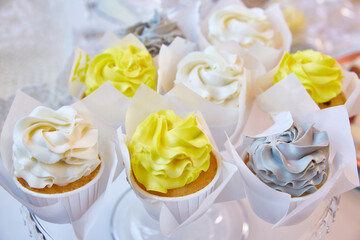 Delicious multicolored cupcakes on a white table.