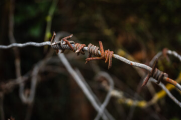 rusty barbed wire