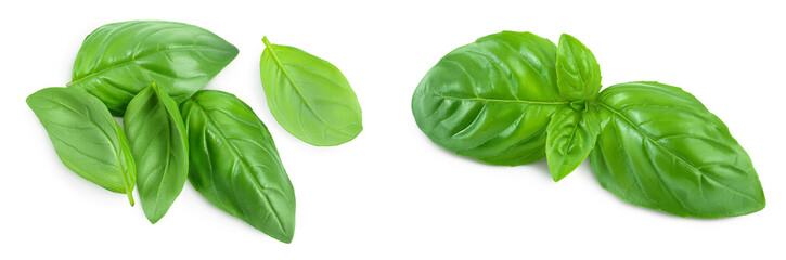 Fresh basil leaf isolated on white background with full depth of field. Top view. Flat lay
